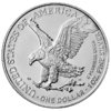 Silber American Eagle 1oz 2021 Typ 2 Neu